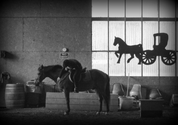 10400954_30716631265_2806_n