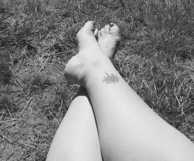 10292146_10152149000756220_4197255766731980281_n (1)