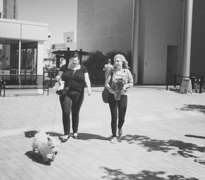 971163_10151393499291644_268009758_n (1)