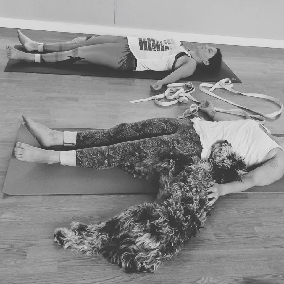 11053175_10153544897566522_953030046522856687_n (2)