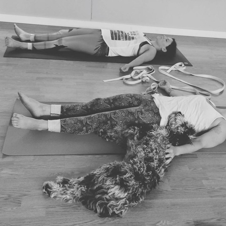 11053175_10153544897566522_953030046522856687_n (2)