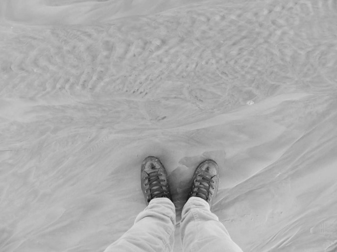 15027869_10153885908046644_3752890495995500326_n-1