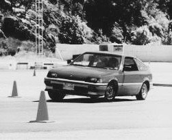 16730045_10155165330465832_1198954601_n-1